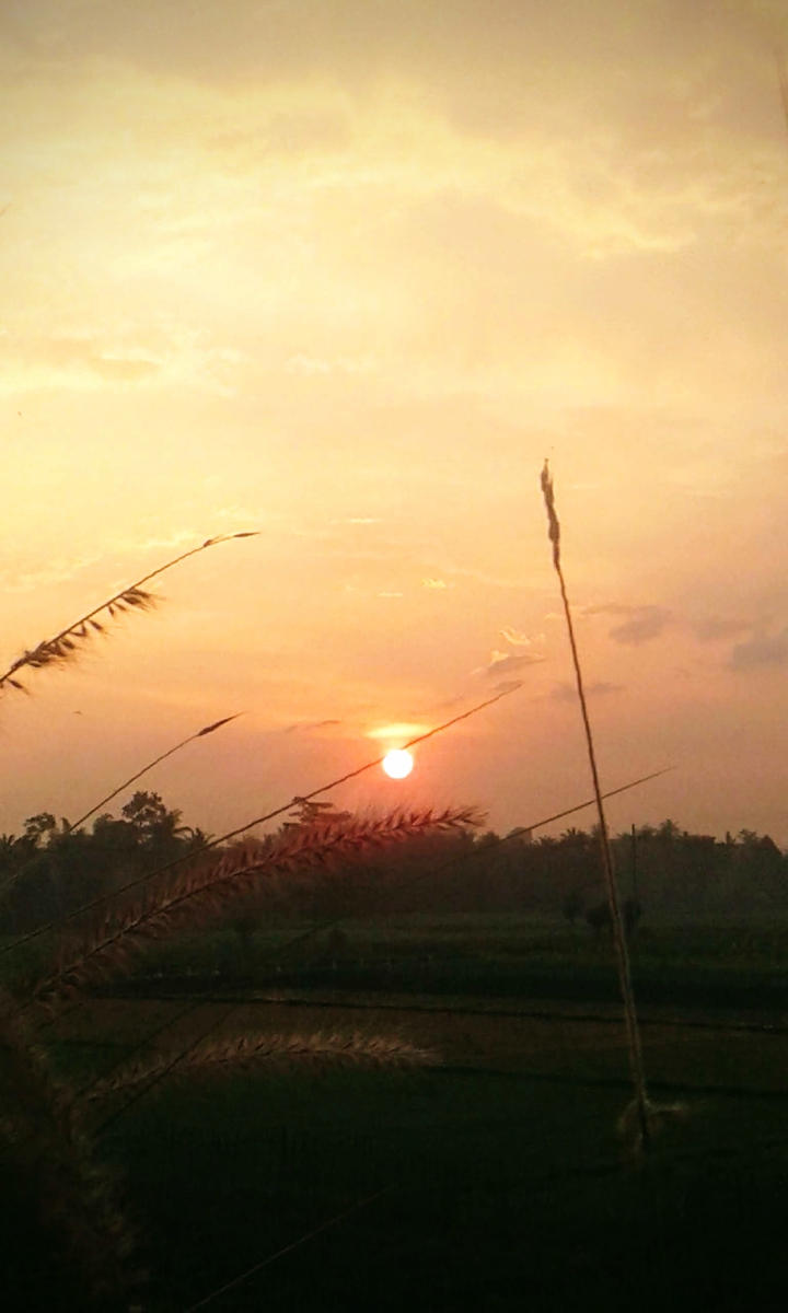 Langit senja