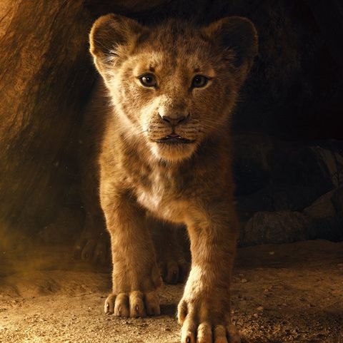 Lion King