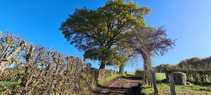 campagne