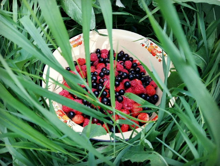 summer melon