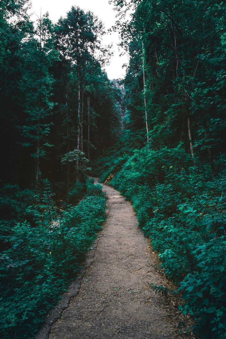 Green road