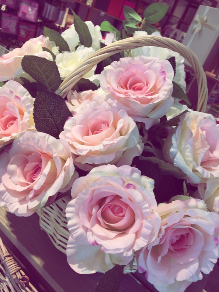 pink flowers