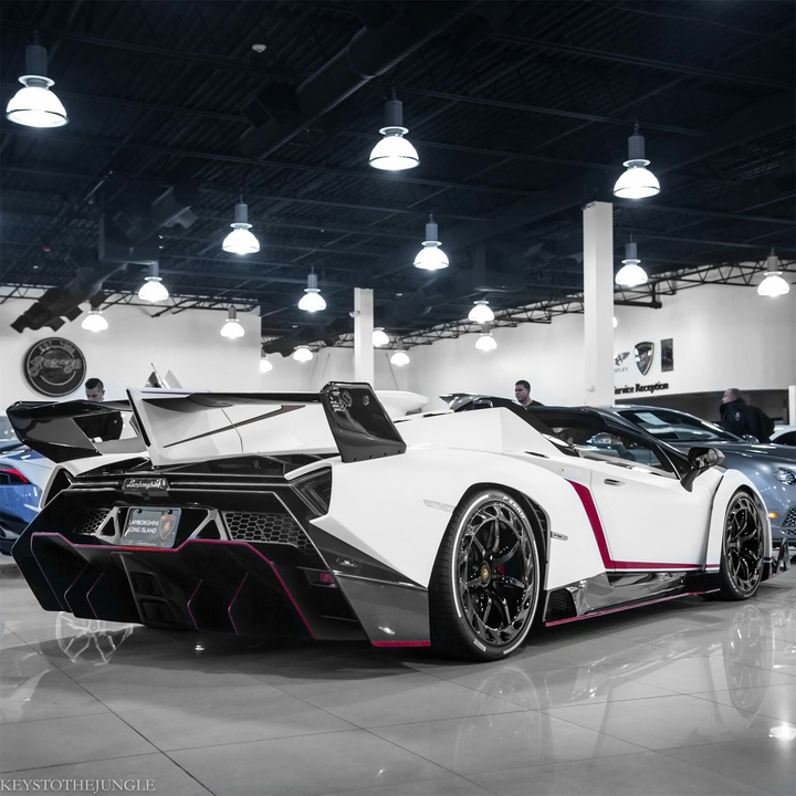 Lamborgini Veneno Roadster