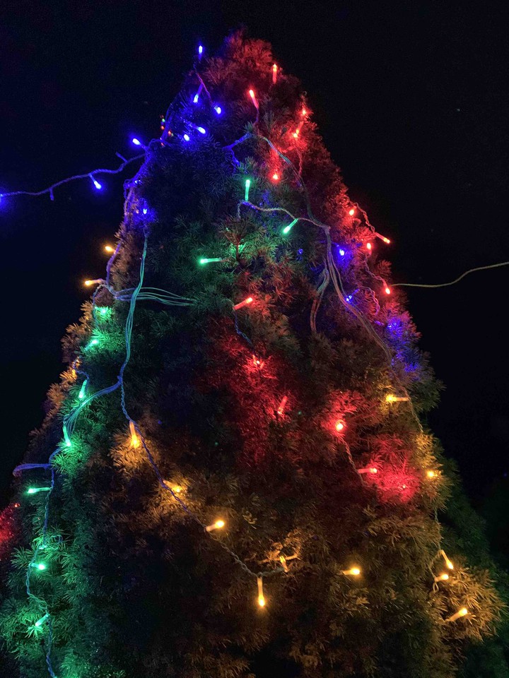 Christmas tree