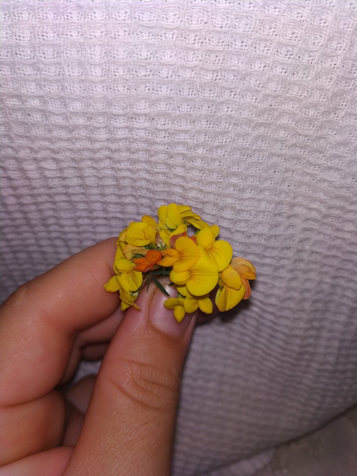 цветочки