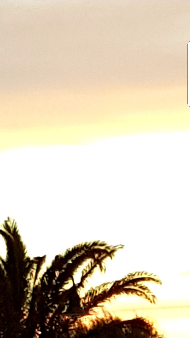 tramonto