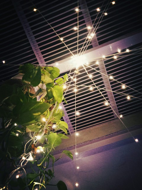 Night Lights