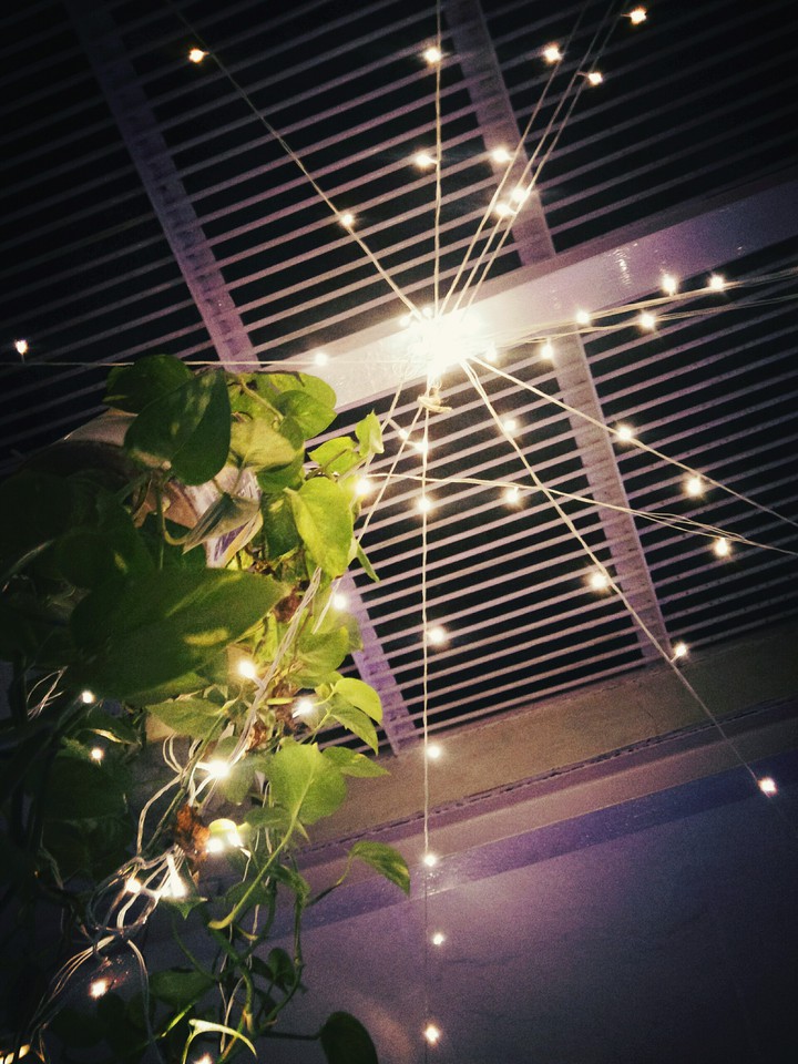 Night Lights