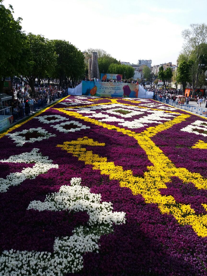 TULİP GARDEN