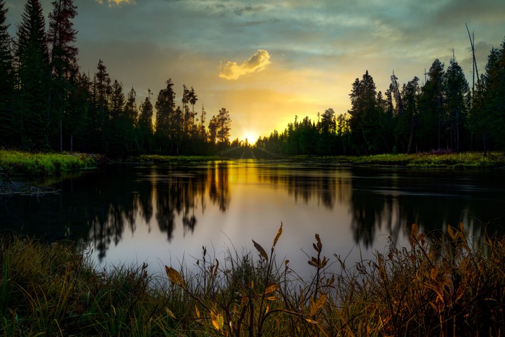 nature