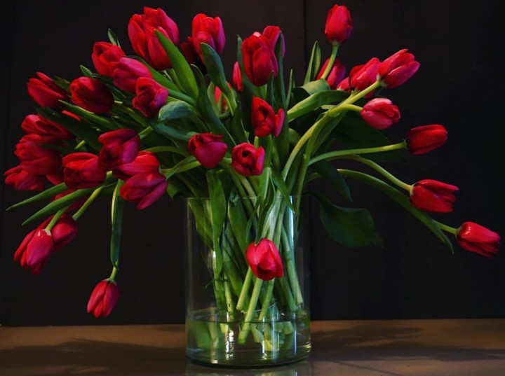 tulips