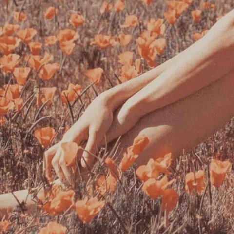 叶子, 艺术壁纸