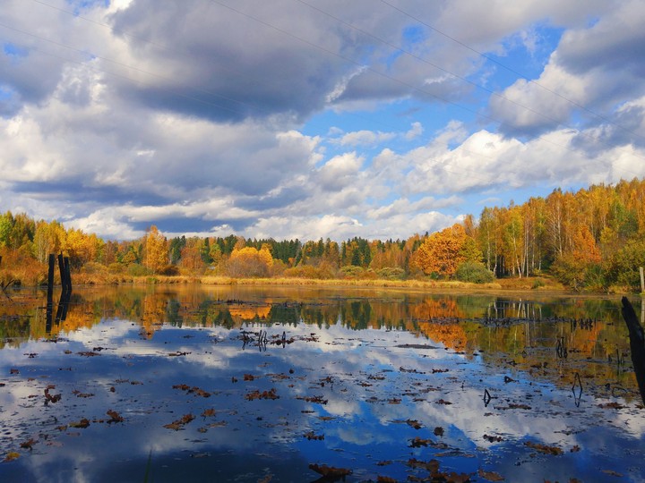 Autumn