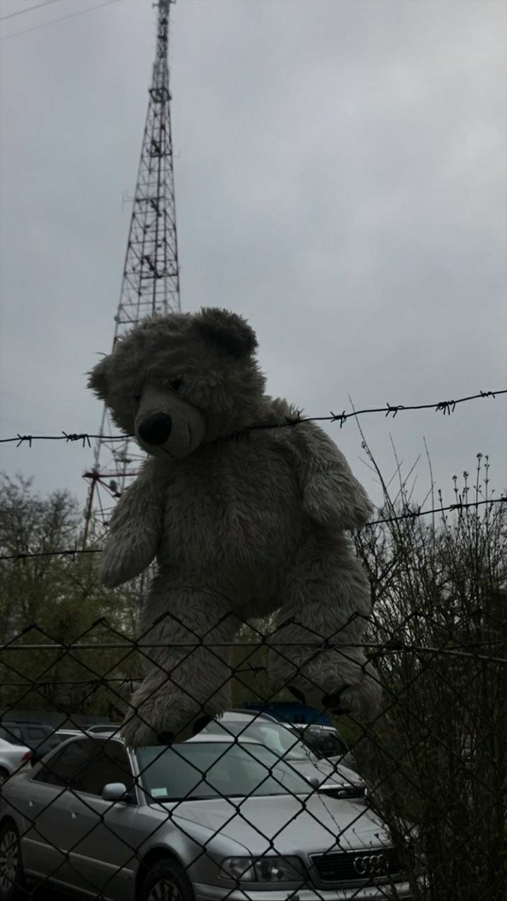 Sad Teddy