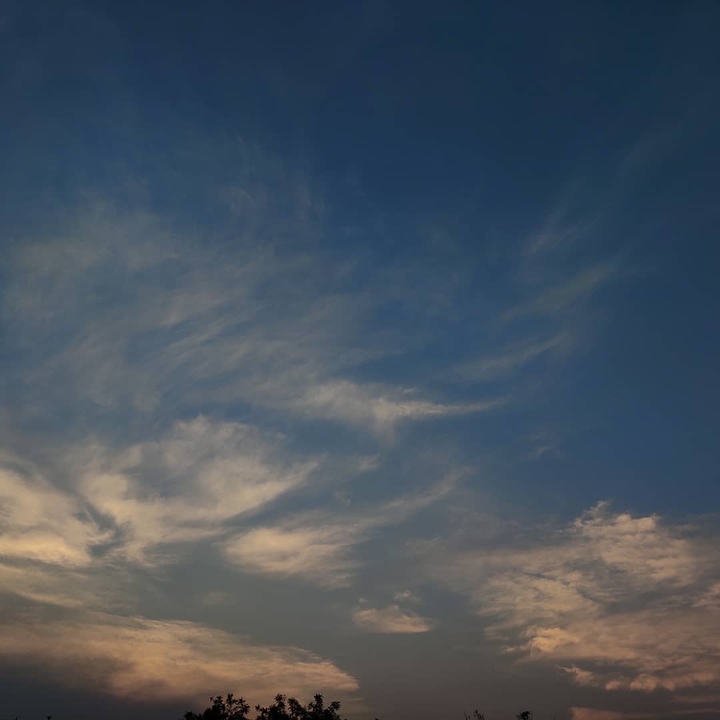 daily cloud