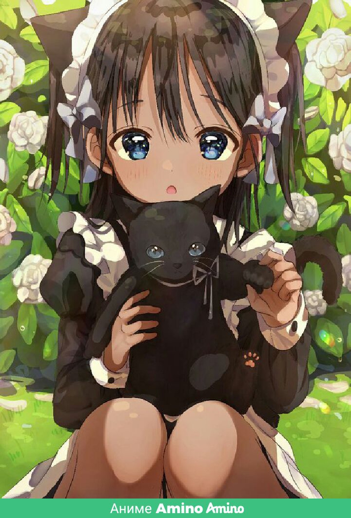 A cute girl anime with a black cat una chica linda de anime