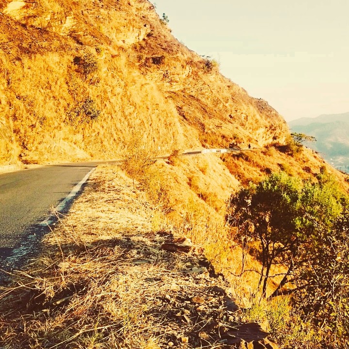 Mountain