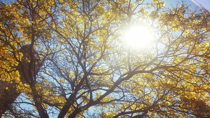 Nature