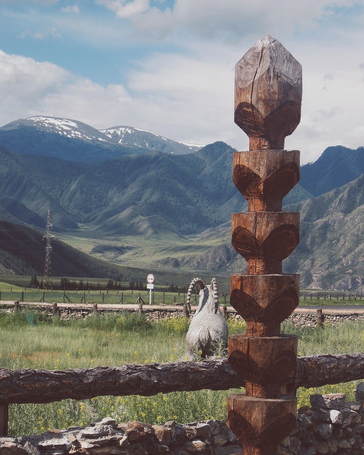 Altai