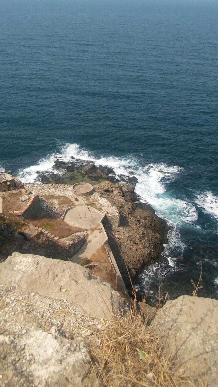 view