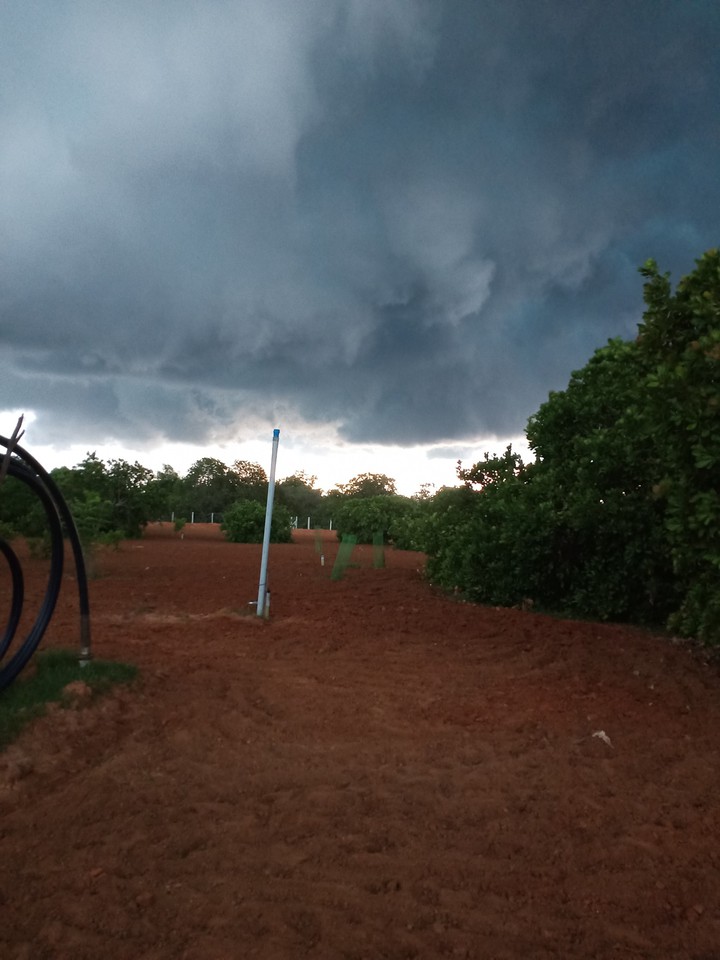 My Farm