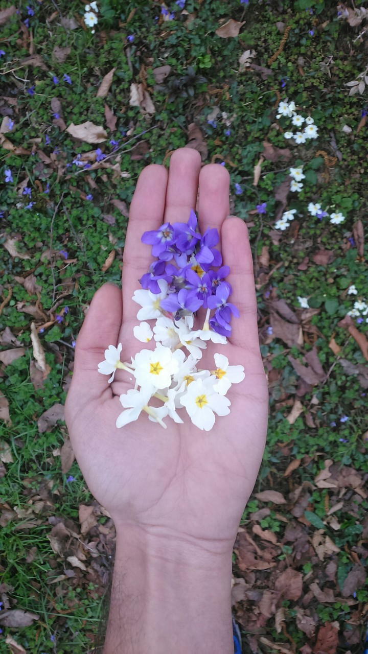 pretty hand