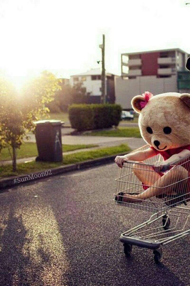 bear goals