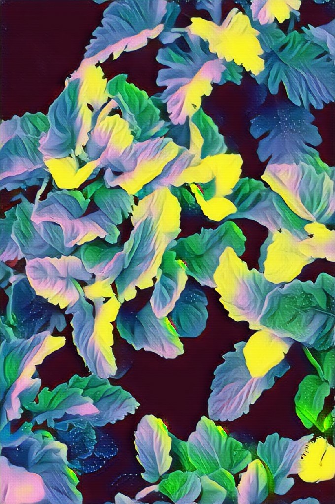 leaves