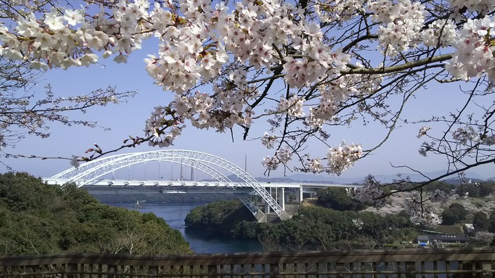 bridge