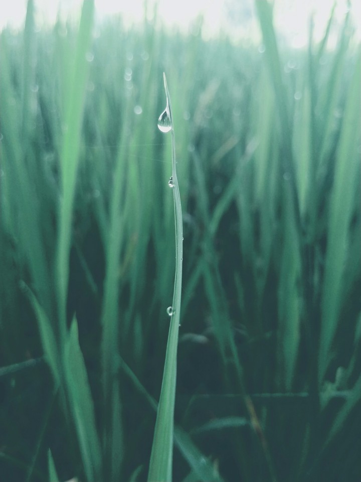 '