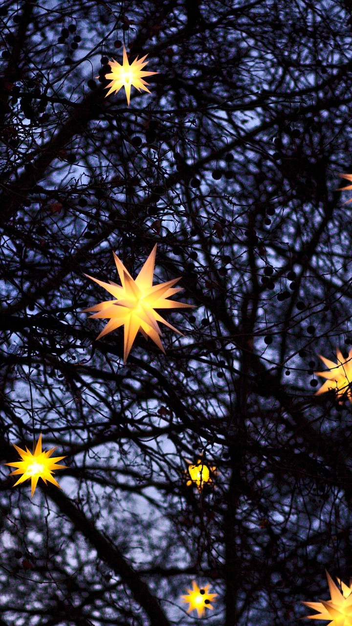 °•✦•°✽❉°•✦•°❉✽°•✦•°✽❉°•✦•°