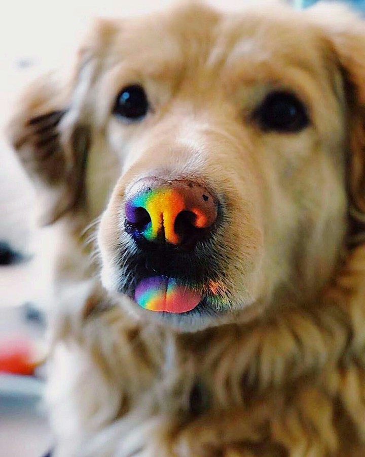 Cute