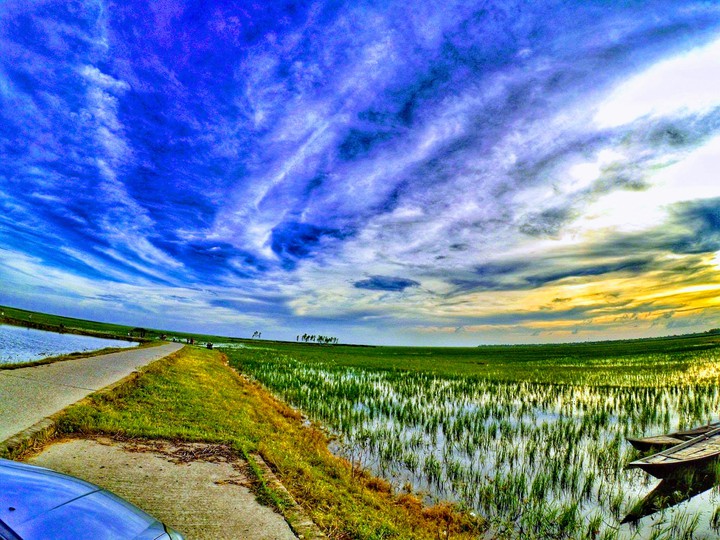 The Nature