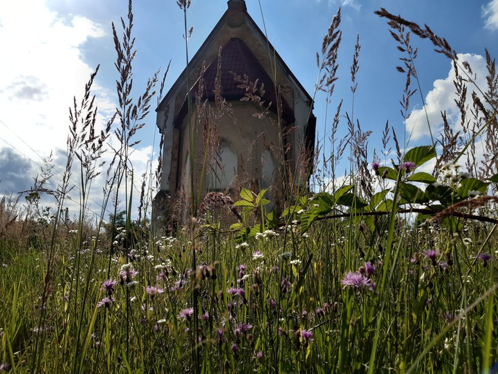 Roman Catholic Church