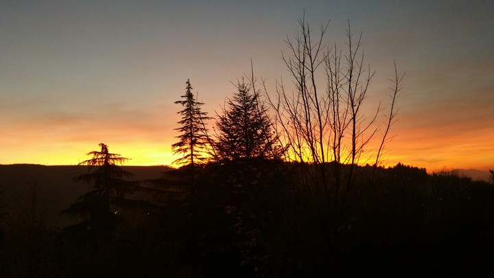 dawn