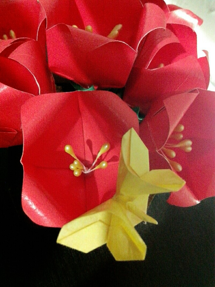 tulip origami