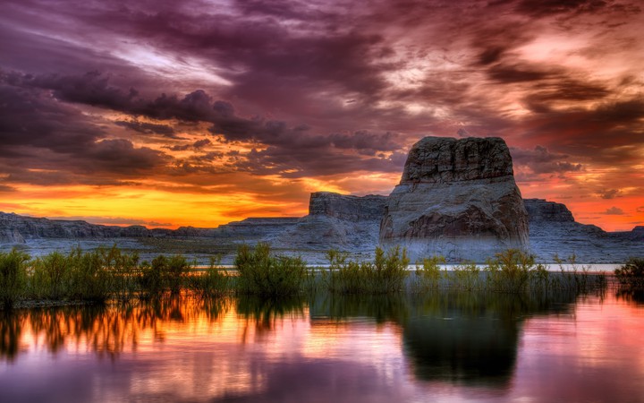 Amazing Nature