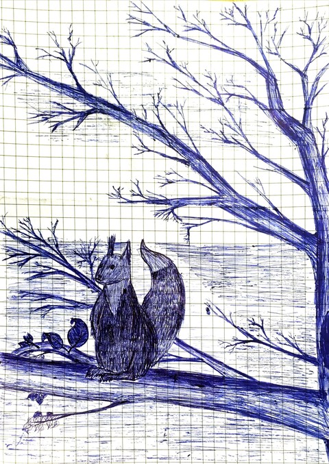 Squirrel