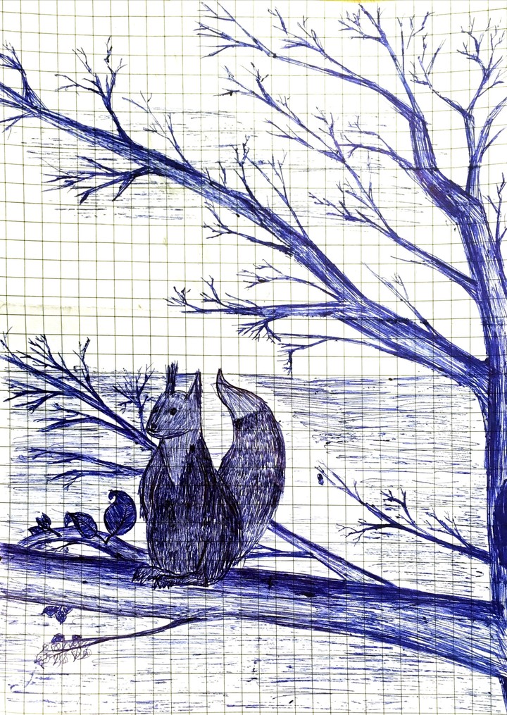 Squirrel