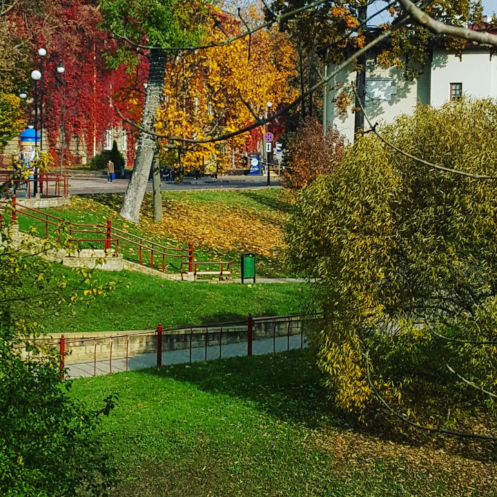 осень в городе