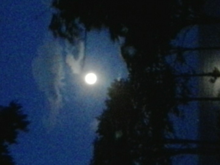 Moon