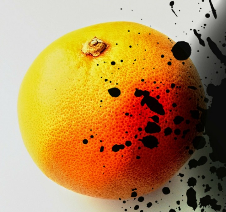 Citrus