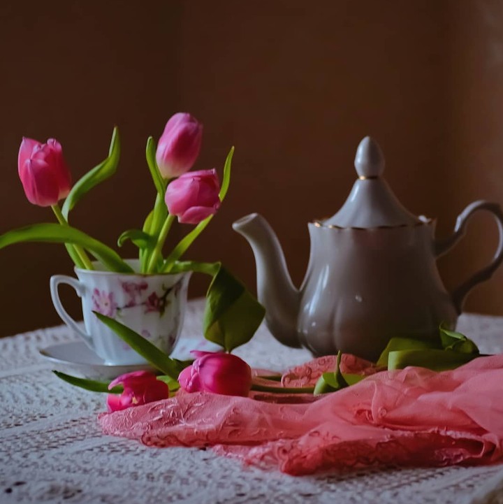 tulip