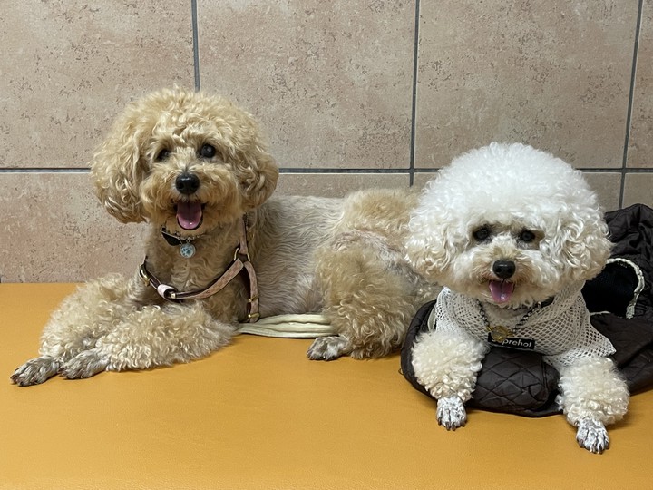 Lucky & Money