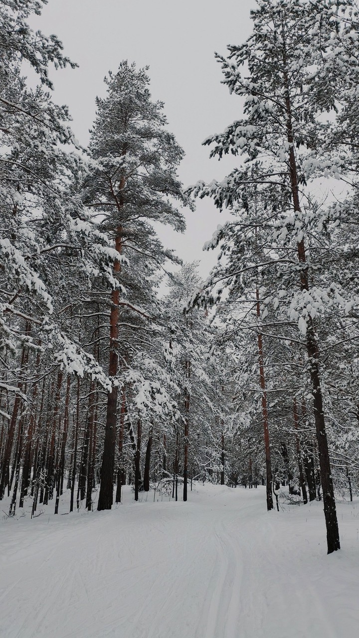 ❄️
