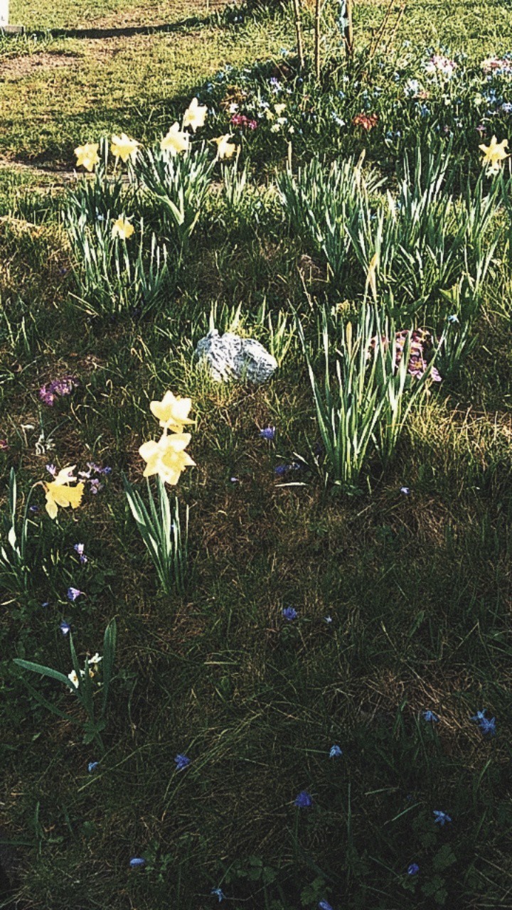 Frühlingsgefühle