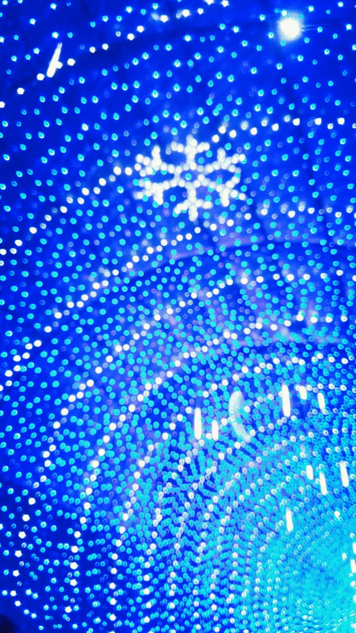 frozen