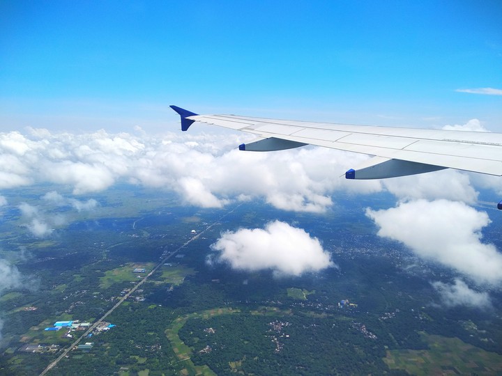 lush green from sky