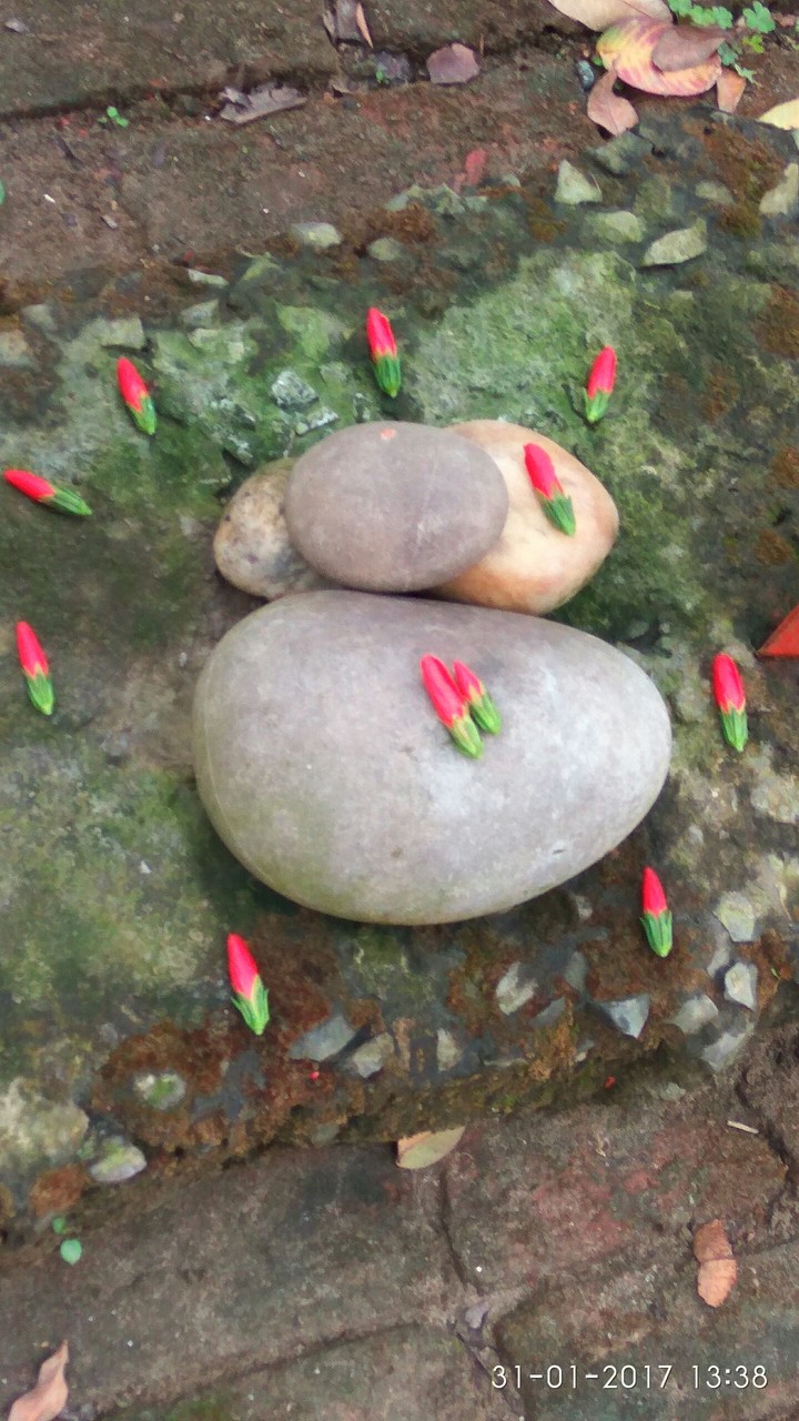 beauty of stone
