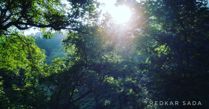 nature